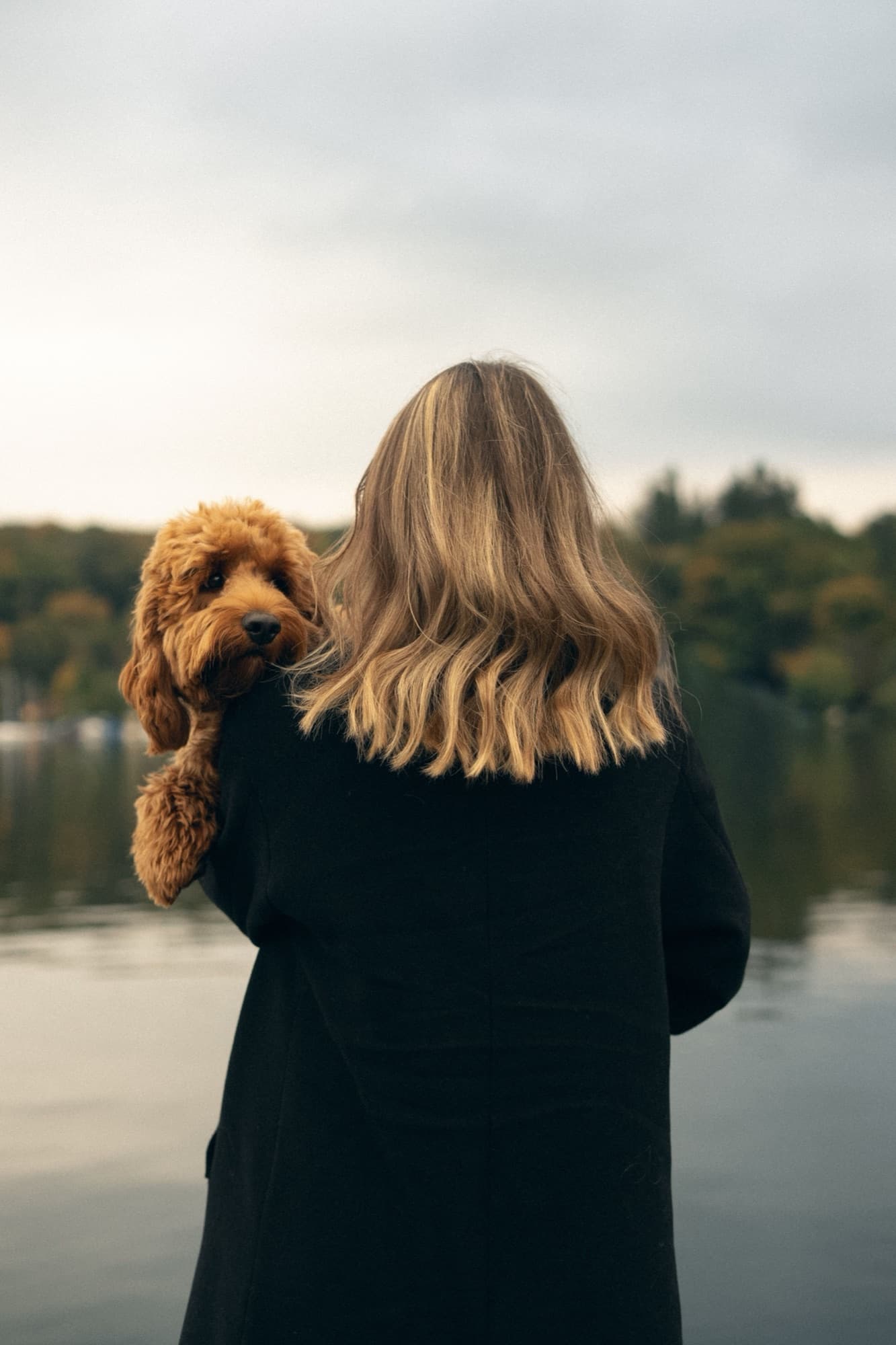 Herzdog – vertraute Nähe zwischen Mensch und Hund
